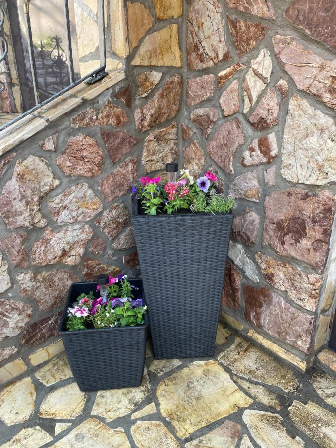 Apartman Duck Daire Saraybosna Dış mekan fotoğraf